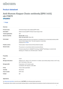 Anti-Human Kappa Chain antibody [EPR11633] ab170879 Product datasheet 1 Image