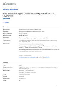 Anti-Human Kappa Chain antibody [EPR5539-71-8] ab134929