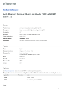 Anti-Human Kappa Chain antibody [SB81a] (HRP) ab79115