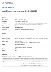 Anti-Kappa light chain antibody ab50325 Product datasheet Overview Product name