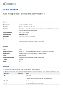 Anti-Kappa light chain antibody ab8177 Product datasheet Overview Product name
