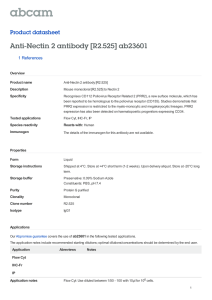 Anti-Nectin 2 antibody [R2.525] ab23601 Product datasheet 1 References Overview