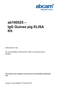 ab190525 – IgG Guinea pig ELISA Kit .