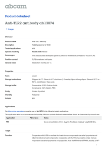 Anti-TLR2 antibody ab13874 Product datasheet 1 Image Overview