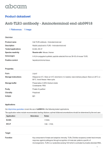 Anti-TLR3 antibody - Aminoterminal end ab59918 Product datasheet 1 References 1 Image