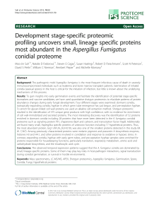 Development stage-specific proteomic profiling uncovers small, lineage specific proteins