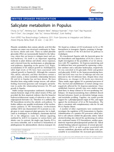 Salicylate metabolism in Populus INVITED SPEAKER PRESENTATION Open Access