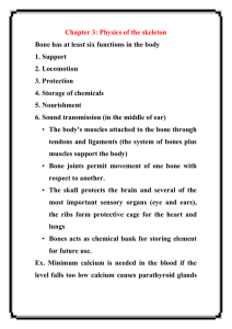 Chapter 3: Physics of the skeleton 1. Support 2. Locomotion