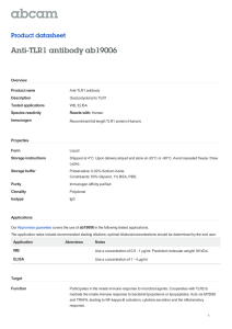 Anti-TLR1 antibody ab19006 Product datasheet