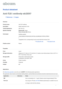 Anti-TLR1 antibody ab22057 Product datasheet 1 References 2 Images