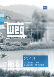 2013 INTEGRATED ANNUAL REpoRT