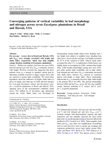 Converging patterns of vertical variability in leaf morphology