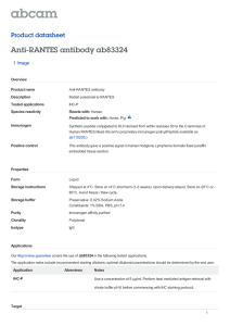 Anti-RANTES antibody ab83324 Product datasheet 1 Image