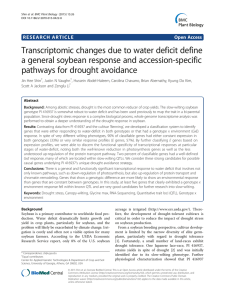 Transcriptomic changes due to water deficit define pathways for drought avoidance