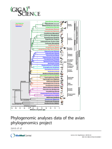 Phylogenomic analyses data of the avian phylogenomics project Jarvis et al. (2015) 4:4