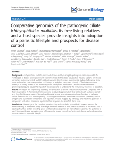 Comparative genomics of the pathogenic ciliate Ichthyophthirius multifiliis, its free-living relatives
