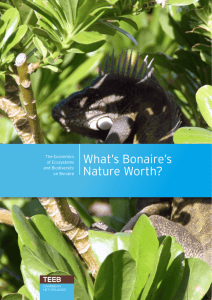 What’s Bonaire’s Nature Worth? The Economics of Ecosystems