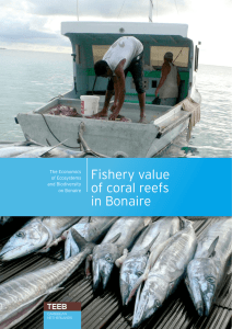 Fishery value of coral reefs in Bonaire The Economics