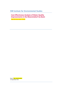 IVM Institute for Environmental Studies Cost-Effectivness Analysis of Water Quality