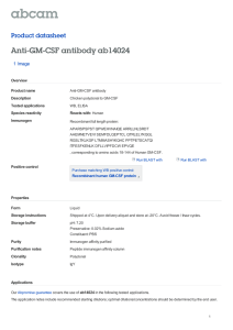 Anti-GM-CSF antibody ab14024 Product datasheet 1 Image Overview