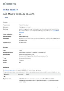 Anti-MASP2 antibody ab65895 Product datasheet 1 Image Overview