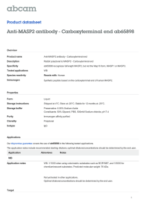Anti-MASP2 antibody - Carboxyterminal end ab65898 Product datasheet Overview Product name
