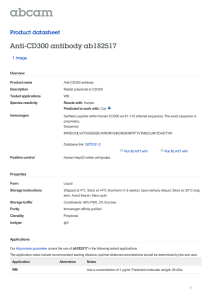 Anti-CD300 antibody ab182517 Product datasheet 1 Image
