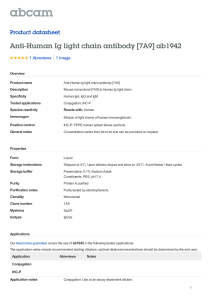 Anti-Human Ig light chain antibody [7A9] ab1942 Product datasheet 1 Abreviews 1 Image