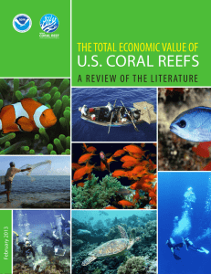 U.S. CORAL REEFS THE TOTAL ECONOMIC VALUE OF y 2013