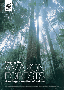 AmAzon forests  Keeping the