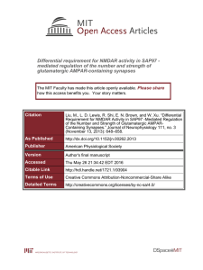 Differential requirement for NMDAR activity in SAP97 -