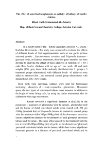 The effect of some feed supplements on activity  of... chicken Rihab Galib Mohammad AL-Zuhairy