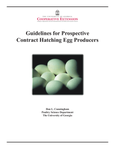 Guidelines for Prospective Contract Hatching Egg Producers Dan L. Cunningham Poultry Science Department