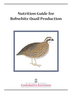 Nutrition Guide for Bobwhite Quail Production