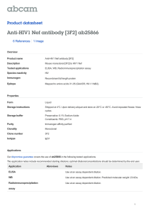 Anti-HIV1 Nef antibody [3F2] ab25866 Product datasheet 6 References 1 Image