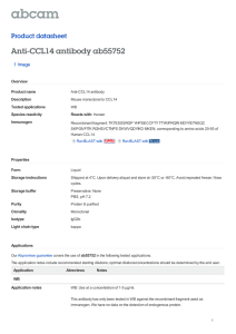 Anti-CCL14 antibody ab55752 Product datasheet 1 Image Overview