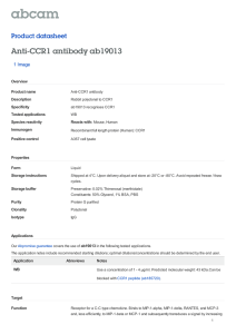 Anti-CCR1 antibody ab19013 Product datasheet 1 Image Overview