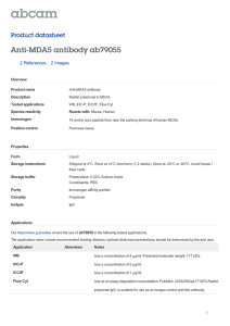 Anti-MDA5 antibody ab79055 Product datasheet 2 References 2 Images