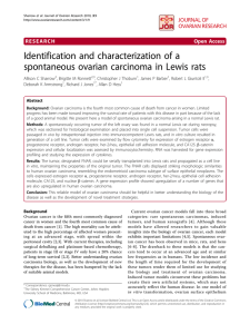 Identification and characterization of a spontaneous ovarian carcinoma in Lewis rats