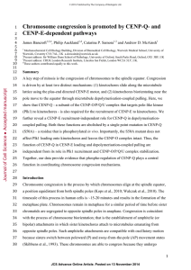 Chromosome congression is promoted by CENP-Q- and CENP-E-dependent pathways 1 2