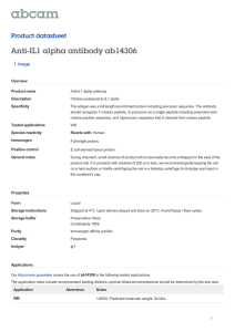 Anti-IL1 alpha antibody ab14306 Product datasheet 1 Image Overview