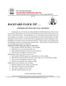 BACKYARD FLOCK TIP . . . Cooperative Extension Service
