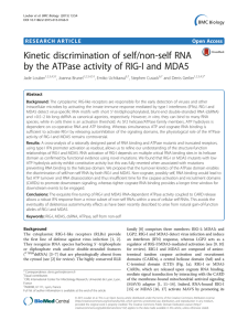 Kinetic discrimination of self/non-self RNA Open Access