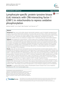 Lymphocyte-specific protein tyrosine kinase (Lck) interacts with CR6-interacting factor 1