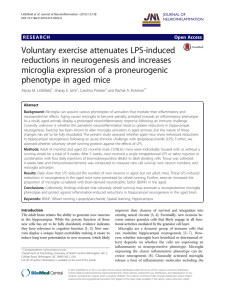 Voluntary exercise attenuates LPS-induced reductions in neurogenesis and increases