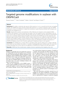 Targeted genome modifications in soybean with CRISPR/Cas9 Open Access