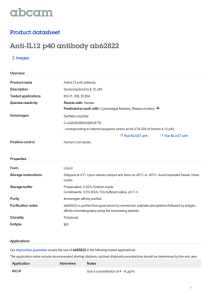 Anti-IL12 p40 antibody ab62822 Product datasheet 2 Images
