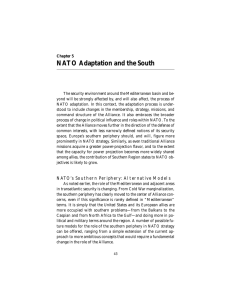 NATO Adaptation and the South