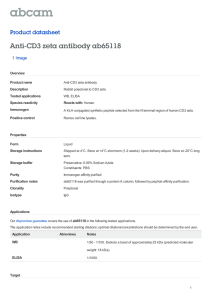Anti-CD3 zeta antibody ab65118 Product datasheet 1 Image Overview
