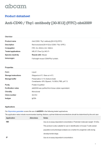 Anti-CD90 / Thy1 antibody [30-H12] (FITC) ab62009 Product datasheet Overview Product name